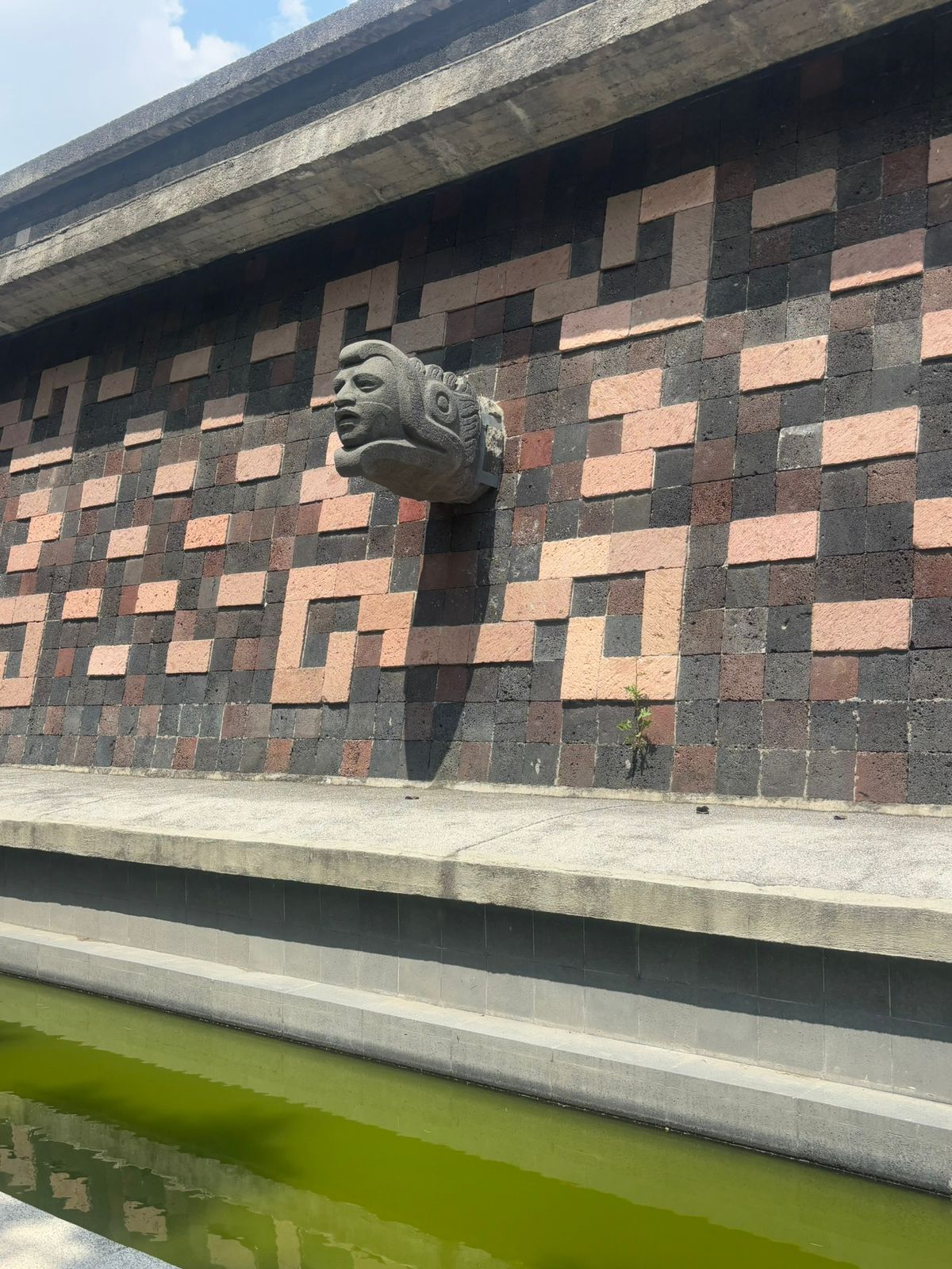 Detalle del bosque de chapultepec